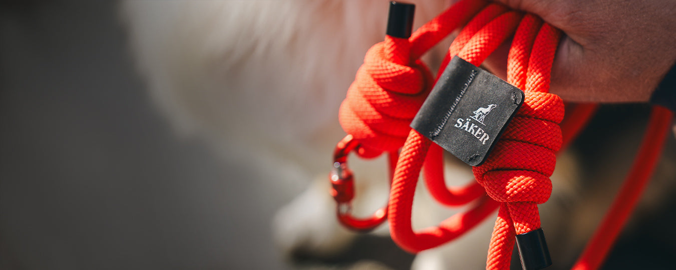 Close view of the trust leash in Alpine Orange