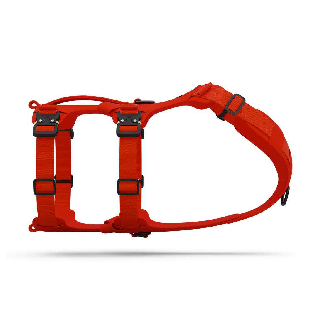Side view of the Bomber harness in Alpine Orange color