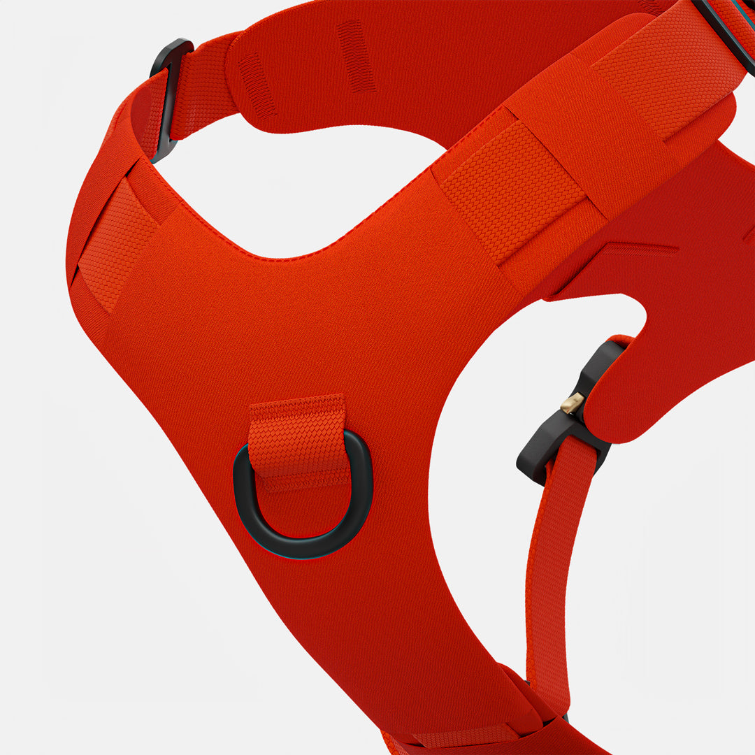 Zoomed view of the Bomber harness in Alpine Orange color
