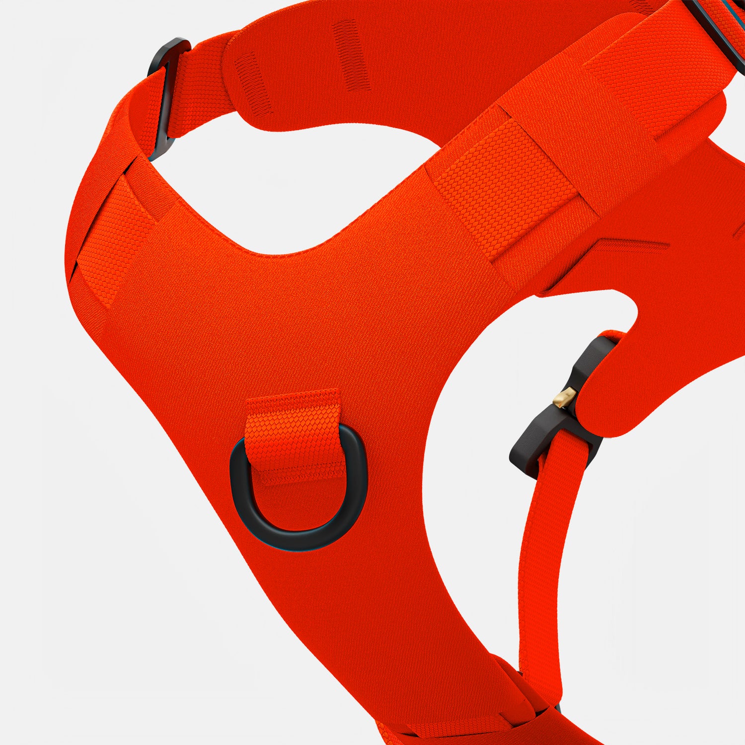 Zoomed view of the Bomber harness in Alpine Orange color