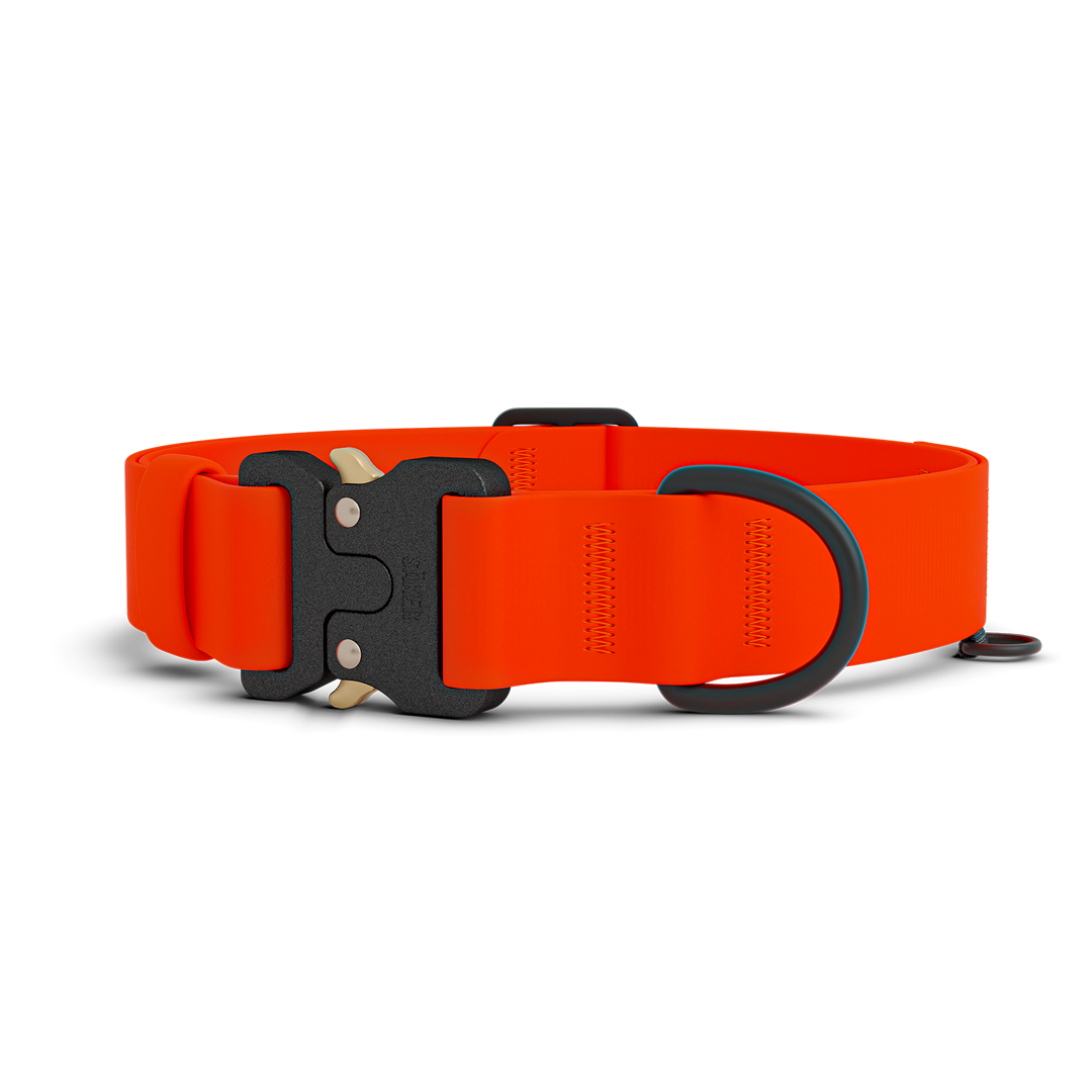 Collier Kelp Pro – Orange Alpin