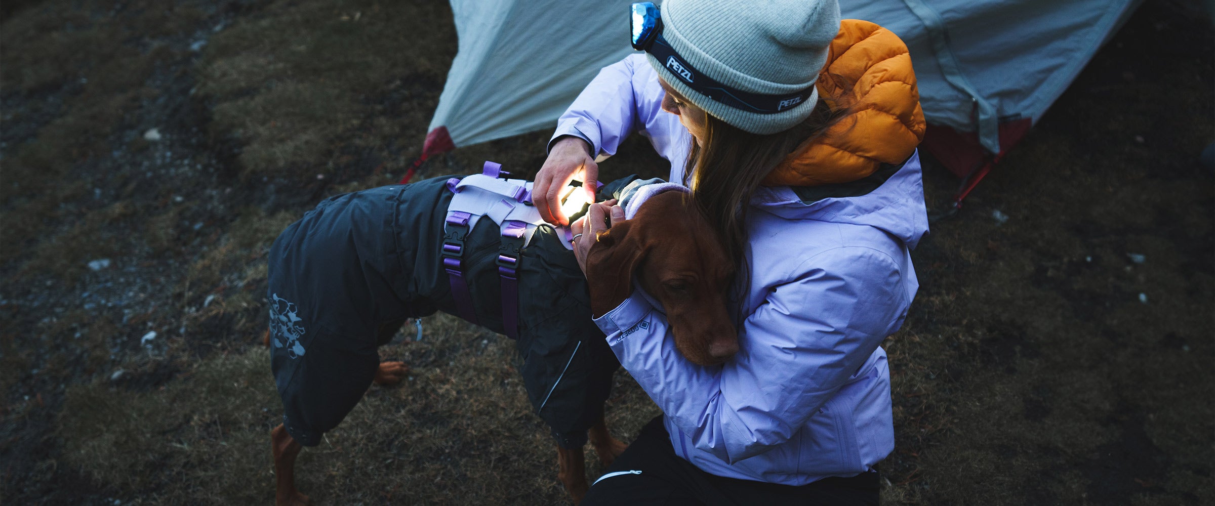 Close view of woman putting the PitchBlack safety light onto the back of her vizsla.