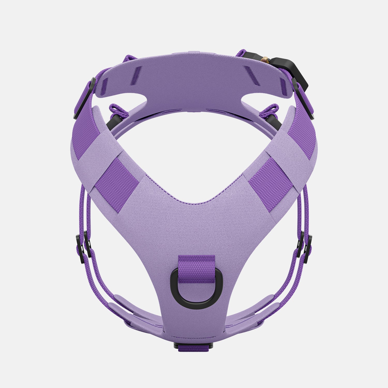 Front view of the Bomber harness in Lilas color
