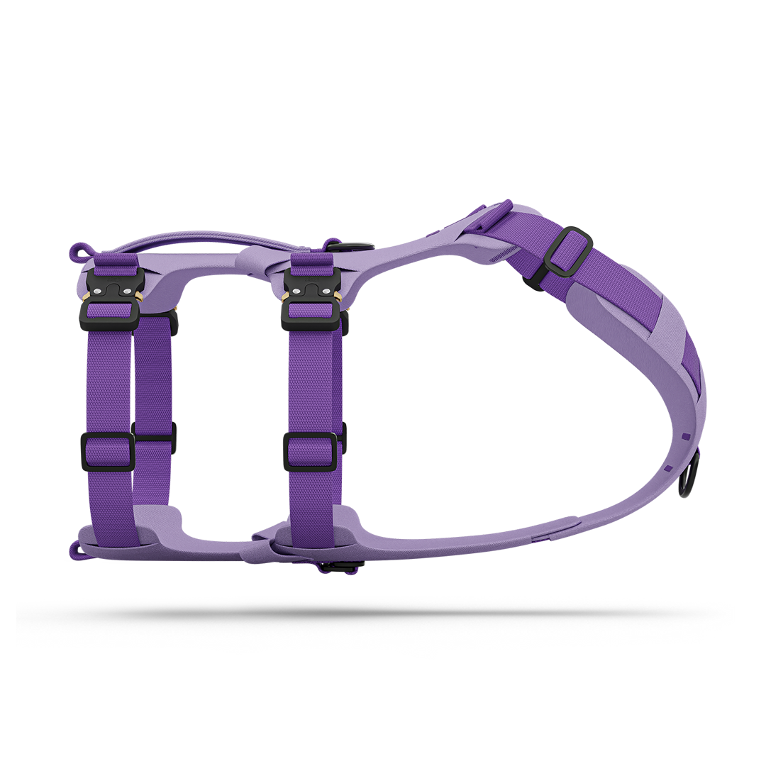 Side view of the Bomber harness in Lilas color
