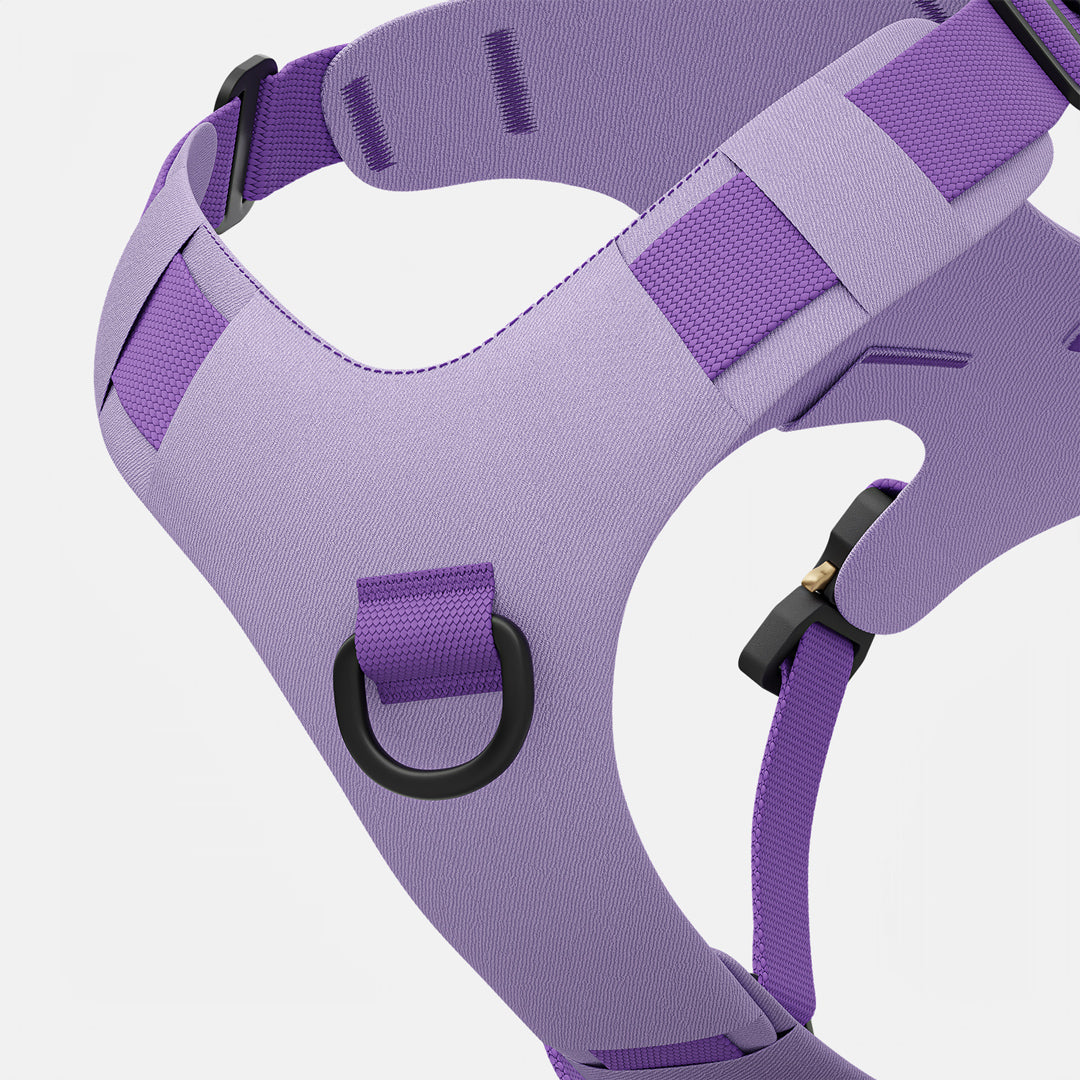 Zoomed view of the Bomber harness in Lilas color