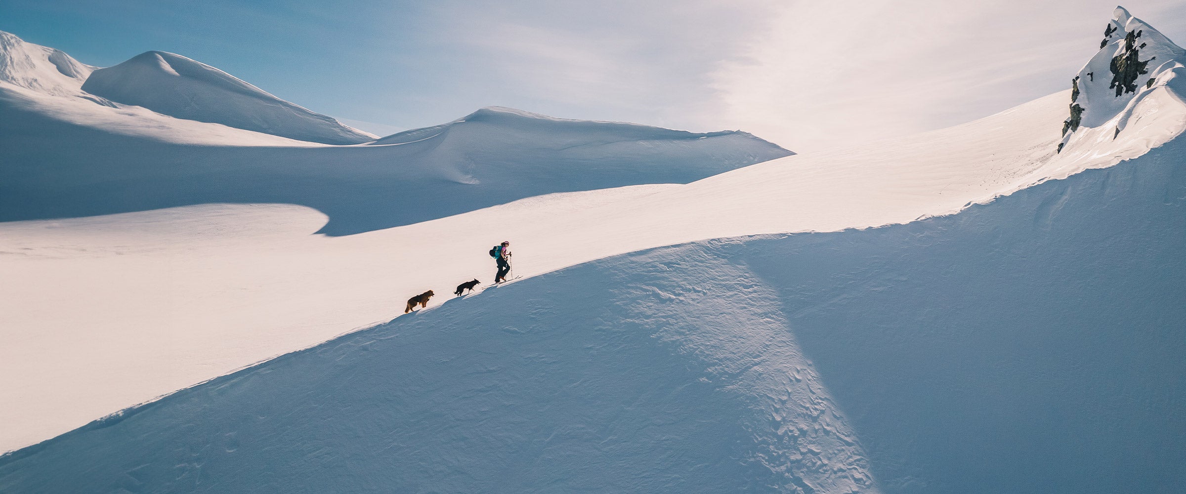 Woman backcountry skiing in yukon with her two dogs, both wearing Canyon Light harnesses