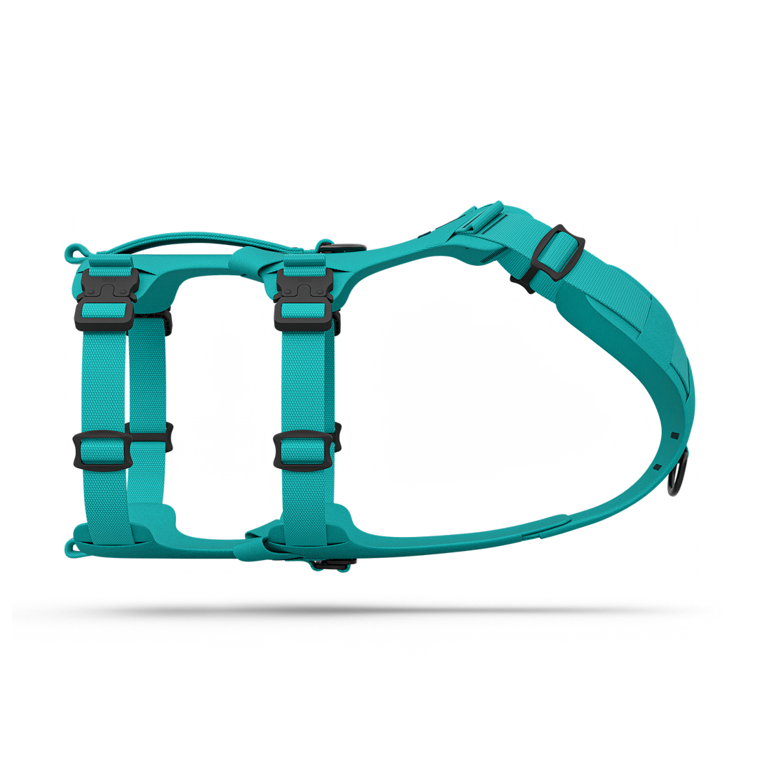Side view of the Muse™ harness in Skeena Teal color