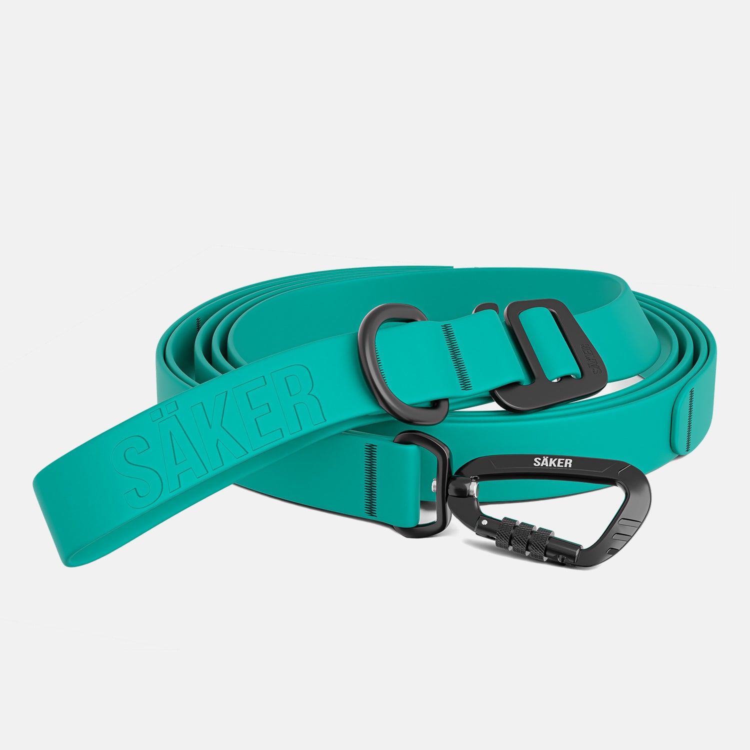 Front view of the Kelp™ leash in Skeena Teal