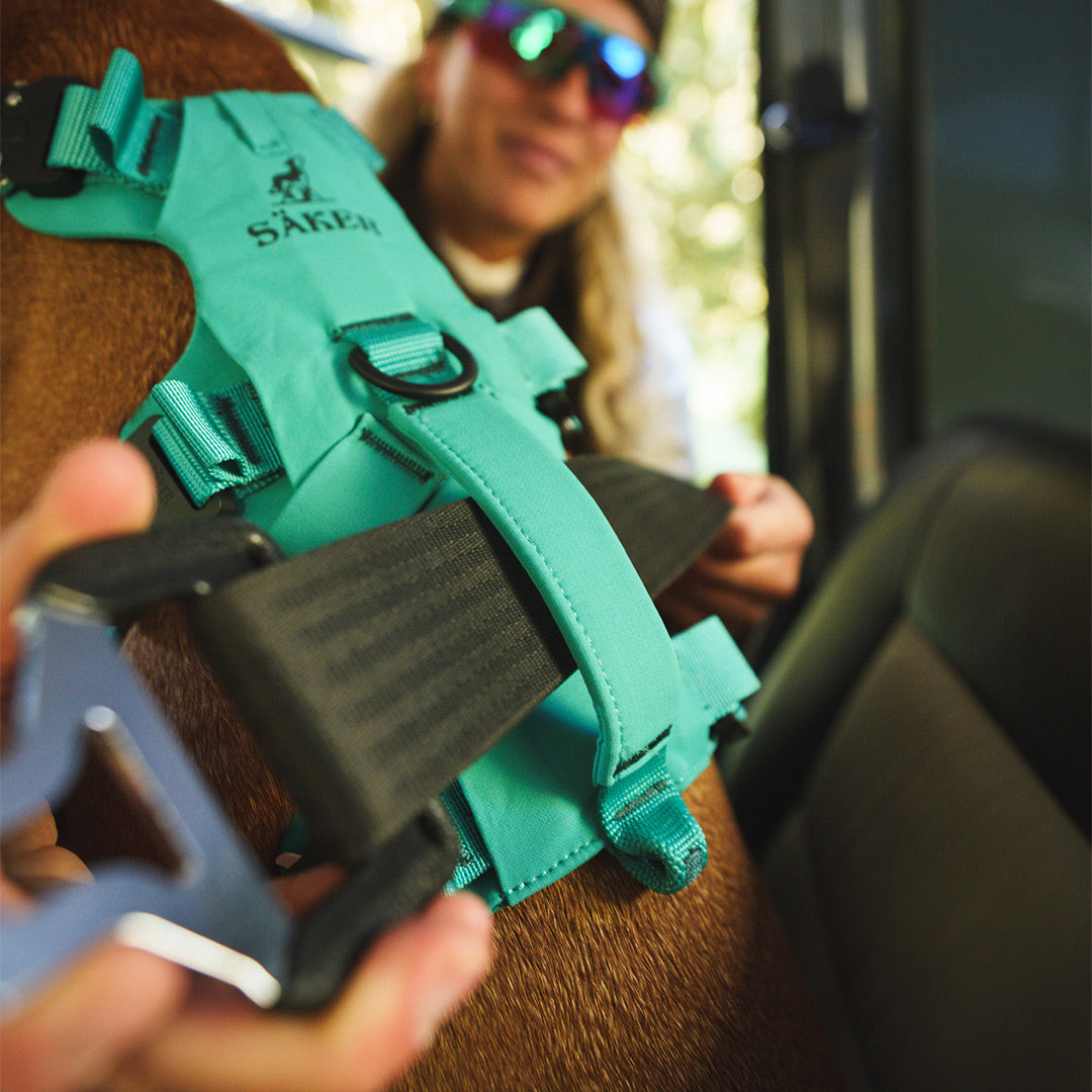 Close view passing the seat belt through the top handle of the Bomber harness in teal
