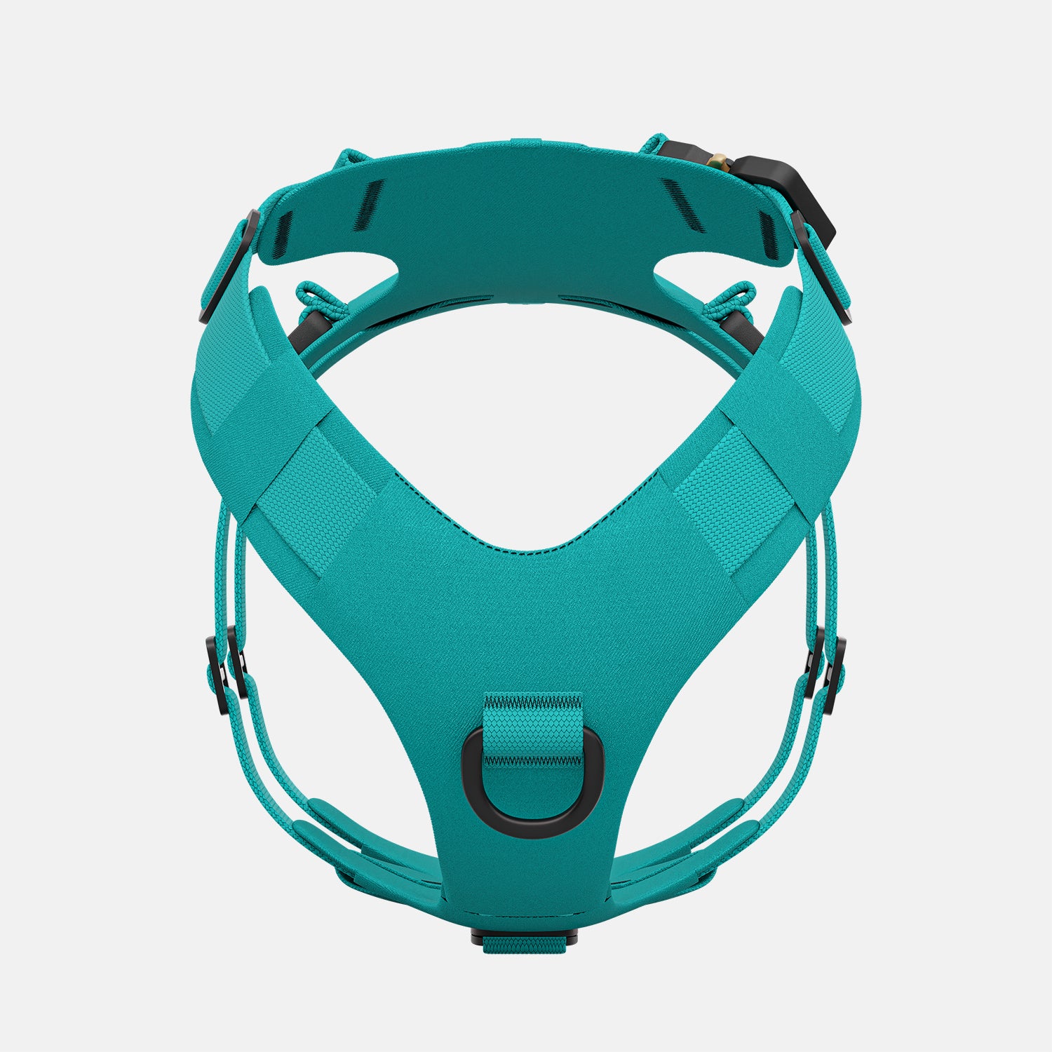 Front view of the Bomber harness in Skeena Teal color