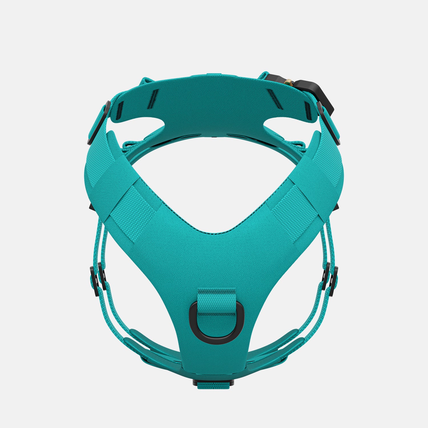 Front view of the Bomber harness in Skeena Teal