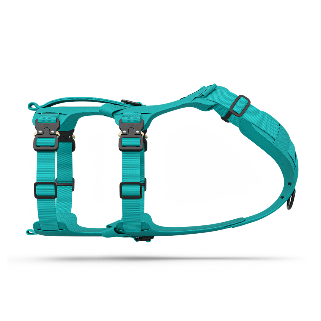 Side picture of the Bomber harness in Skeena Teal