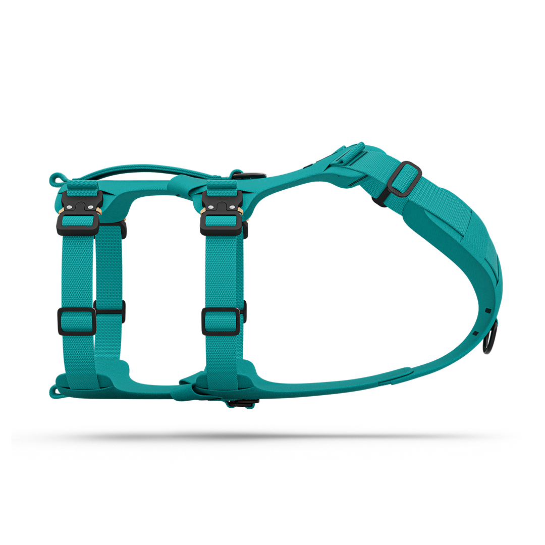 Side view of the Bomber harness in Skeena Teal color