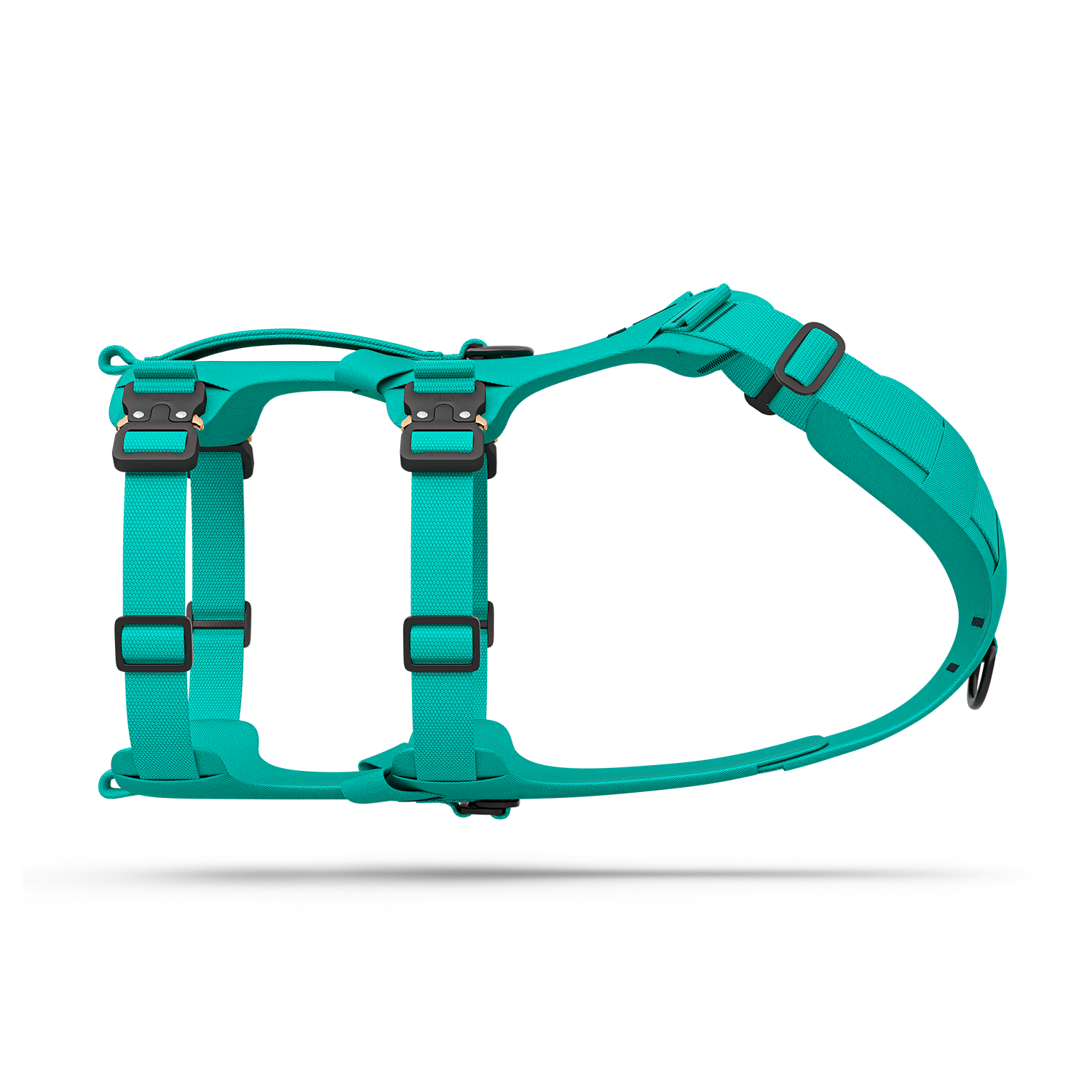 Side view of the Bomber harness in Skeena Teal color