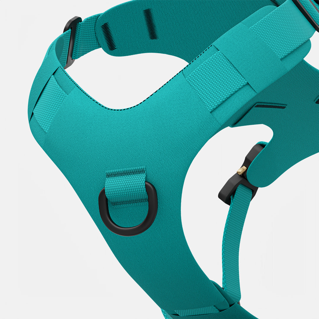 Zoomed view of the Bomber harness in Skeena Teal color