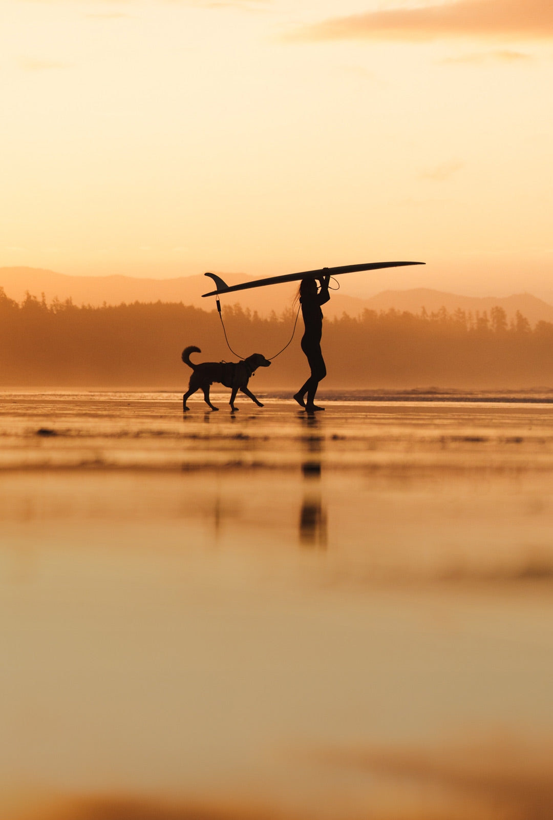 dog mom holding surf over her head with dog following her on the beach.