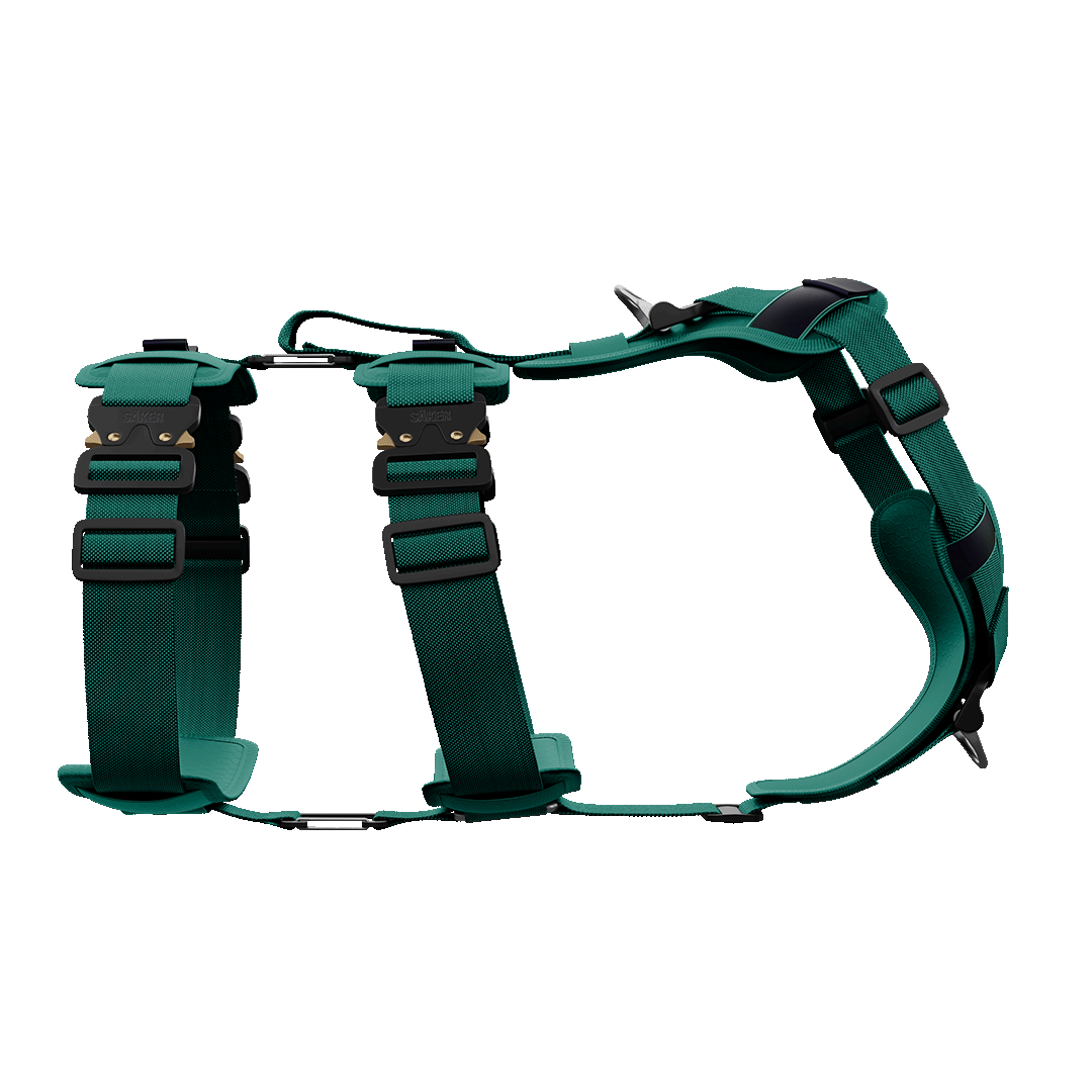 Teal harness outlet