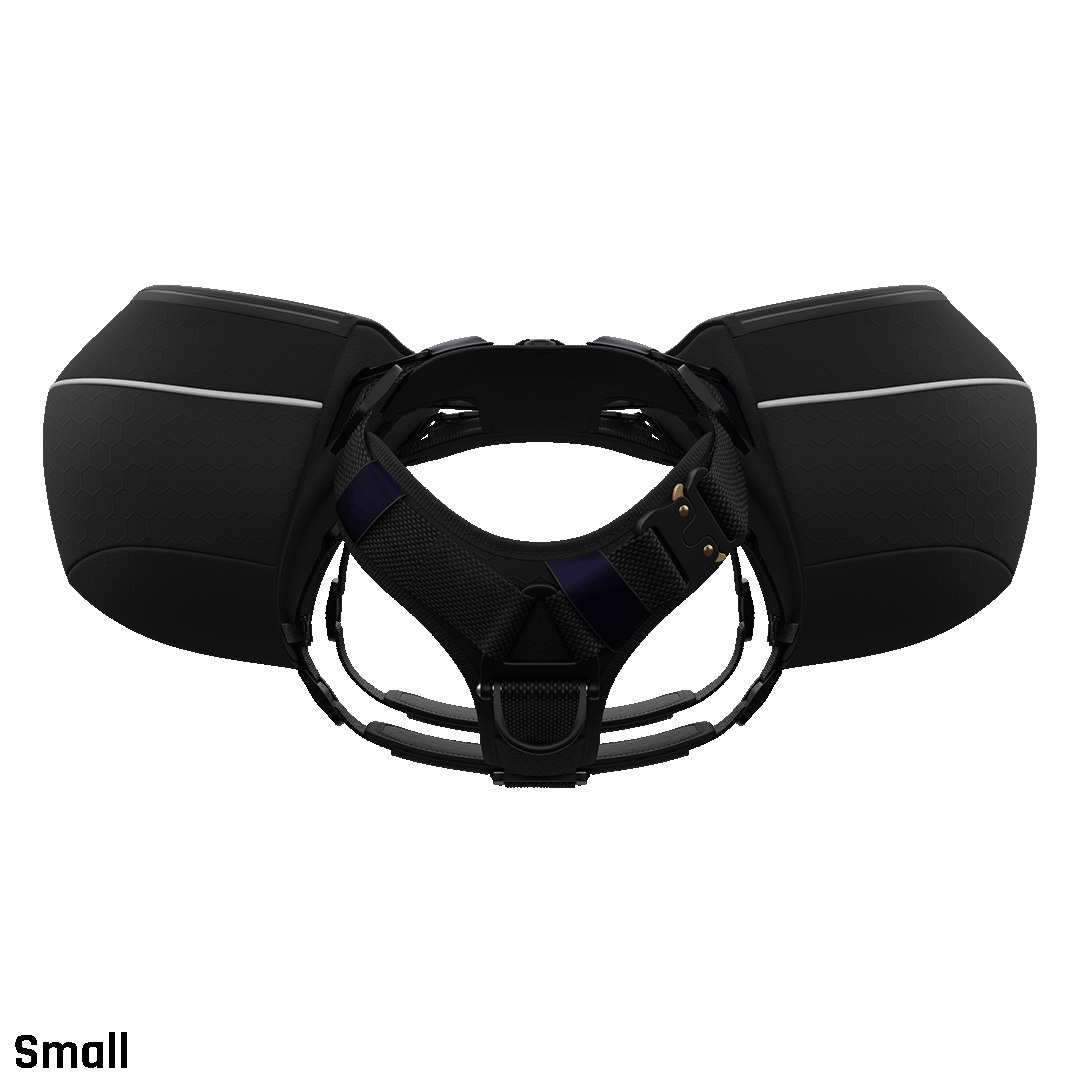 Front view of the Ascension Dog Pack in the Small size in black