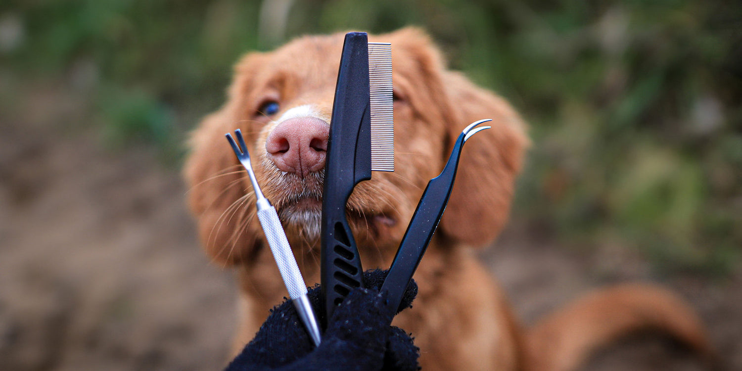 Tick buster kit in front of a toller dog face