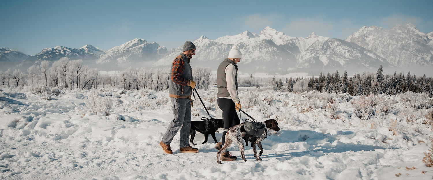 Dogs and their owners near Grand Tetons National Park