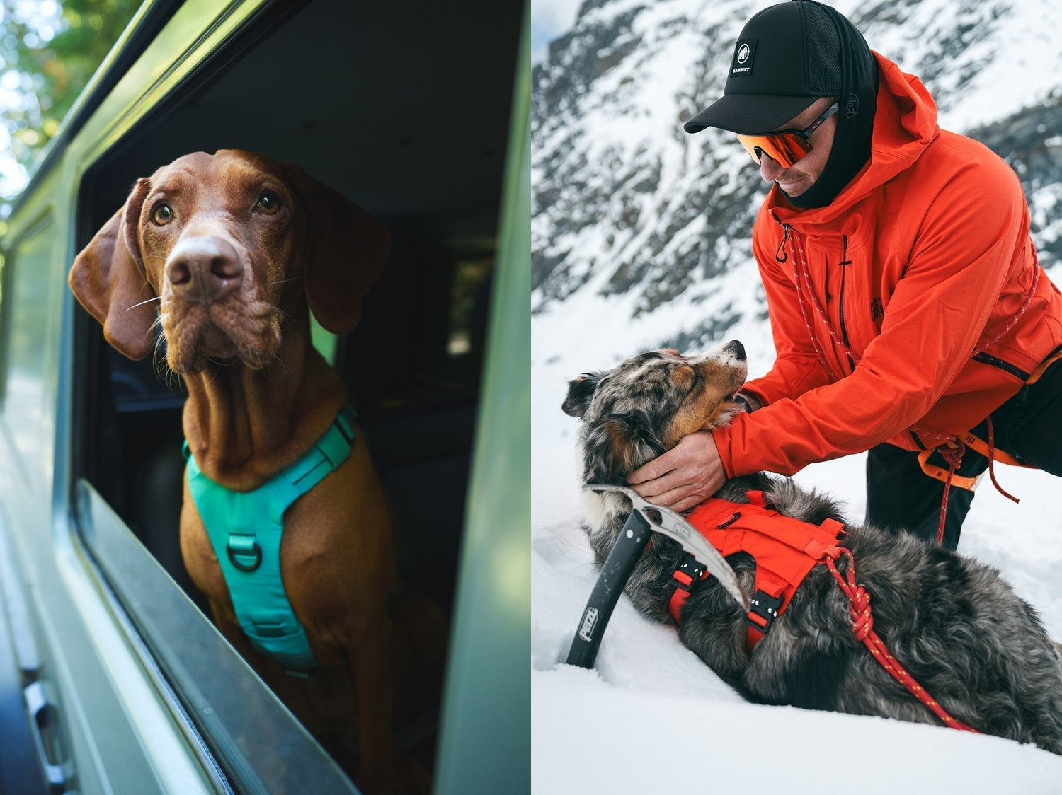 Bomber harness on the left and lander harness on the right