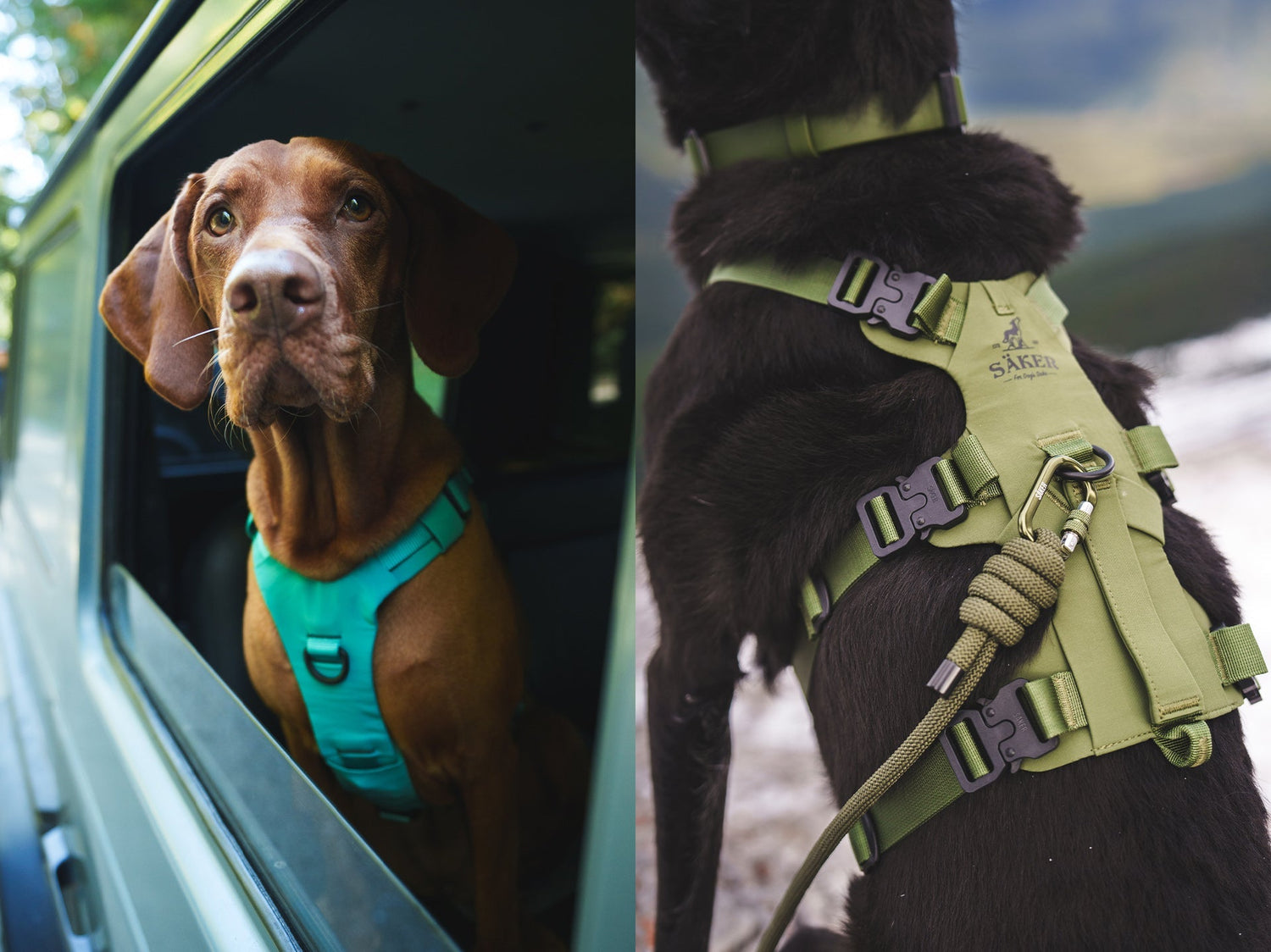 Split image with Bomber harness on the left and muse harness on the right
