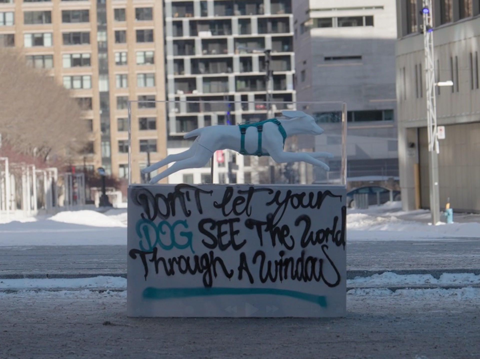 Picture of the Säker pedestal in Montreal with the Muse harness and a graffiti on it