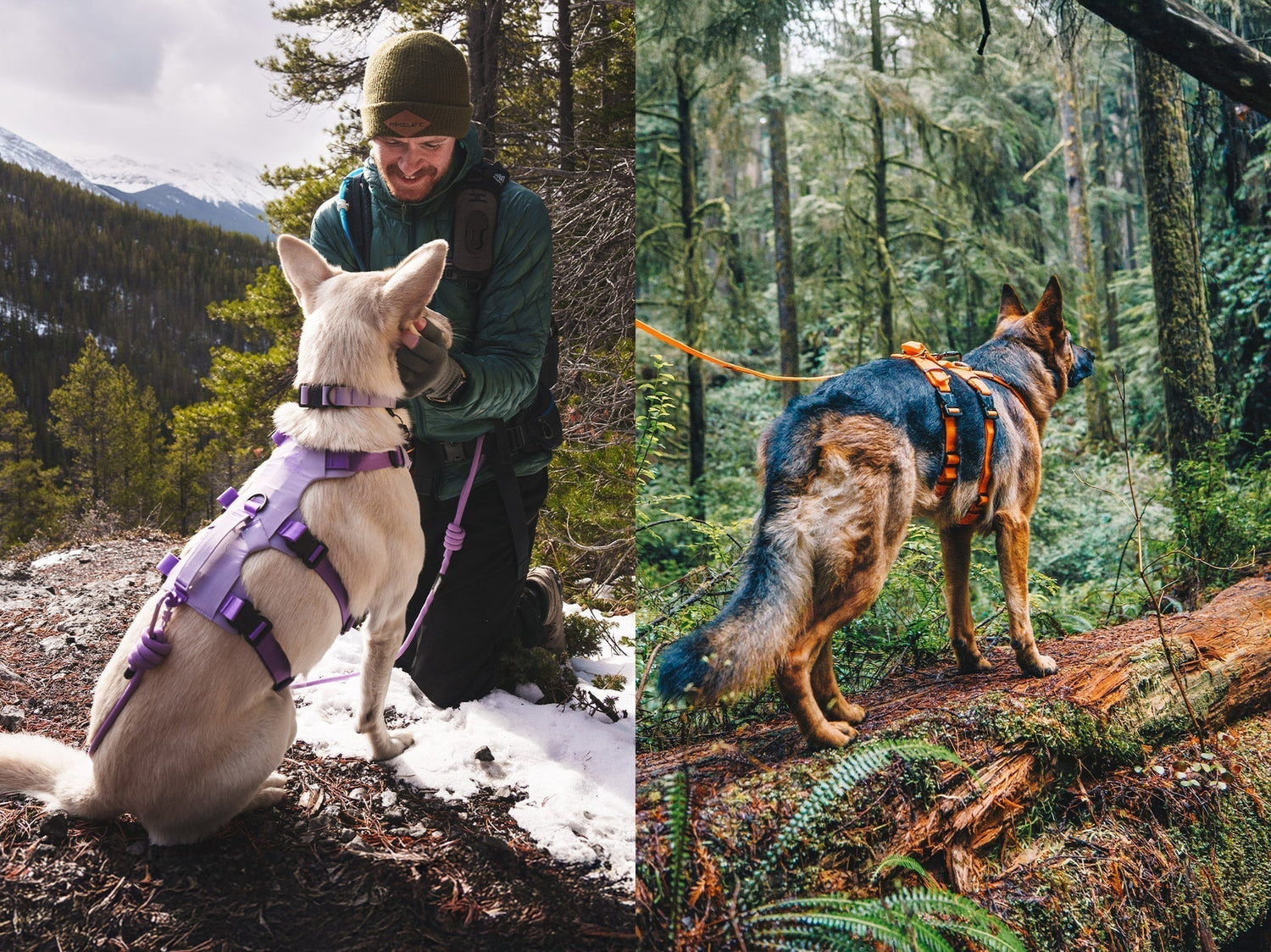 Comparison image between the Muse harness and the Canyon Light