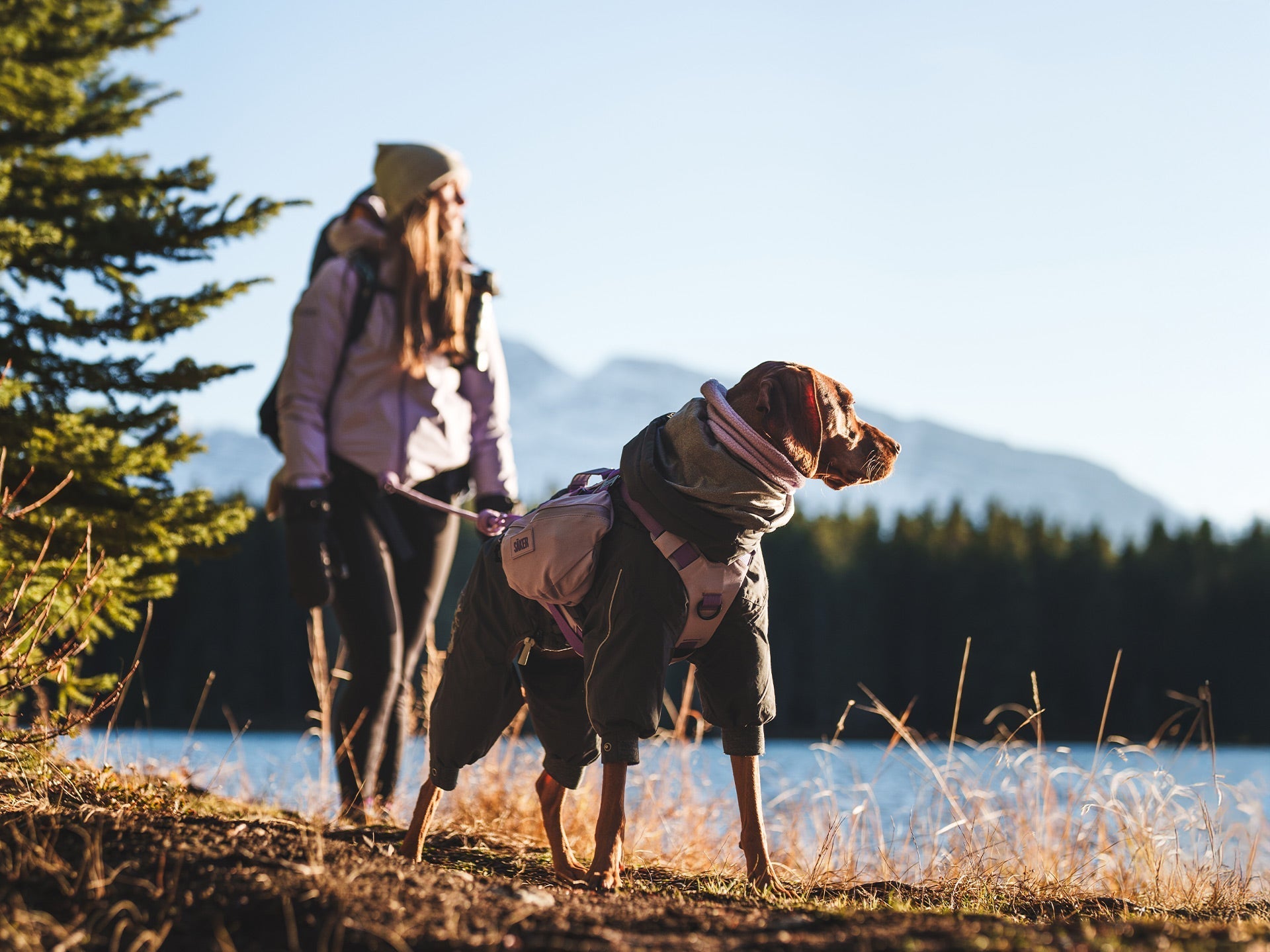 Michelle and her dog, Millie exploring the rockies with the Säker Muse harness in Lilas