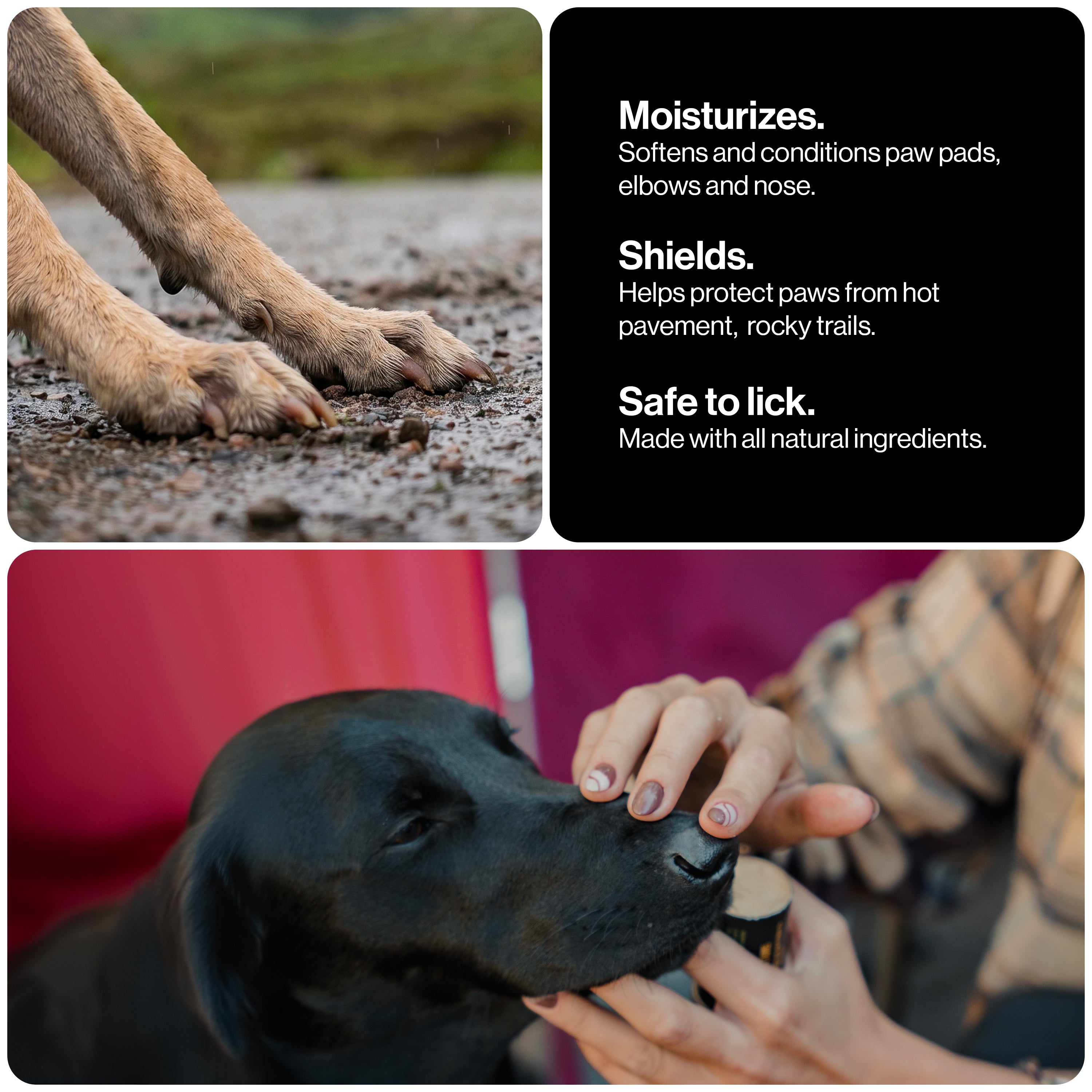 Dog Paw Balm