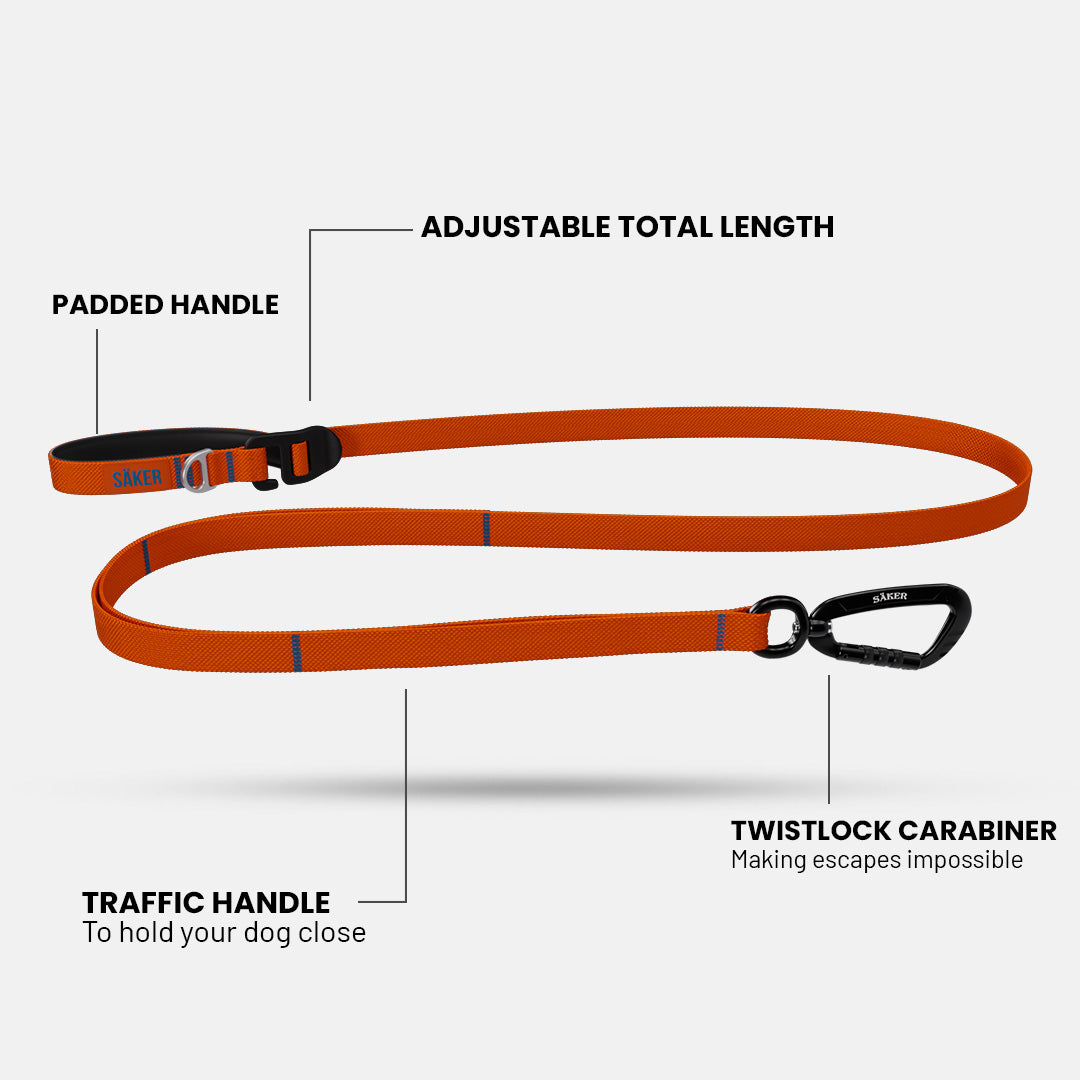 Features of the Canyon Leash - Outback Orange