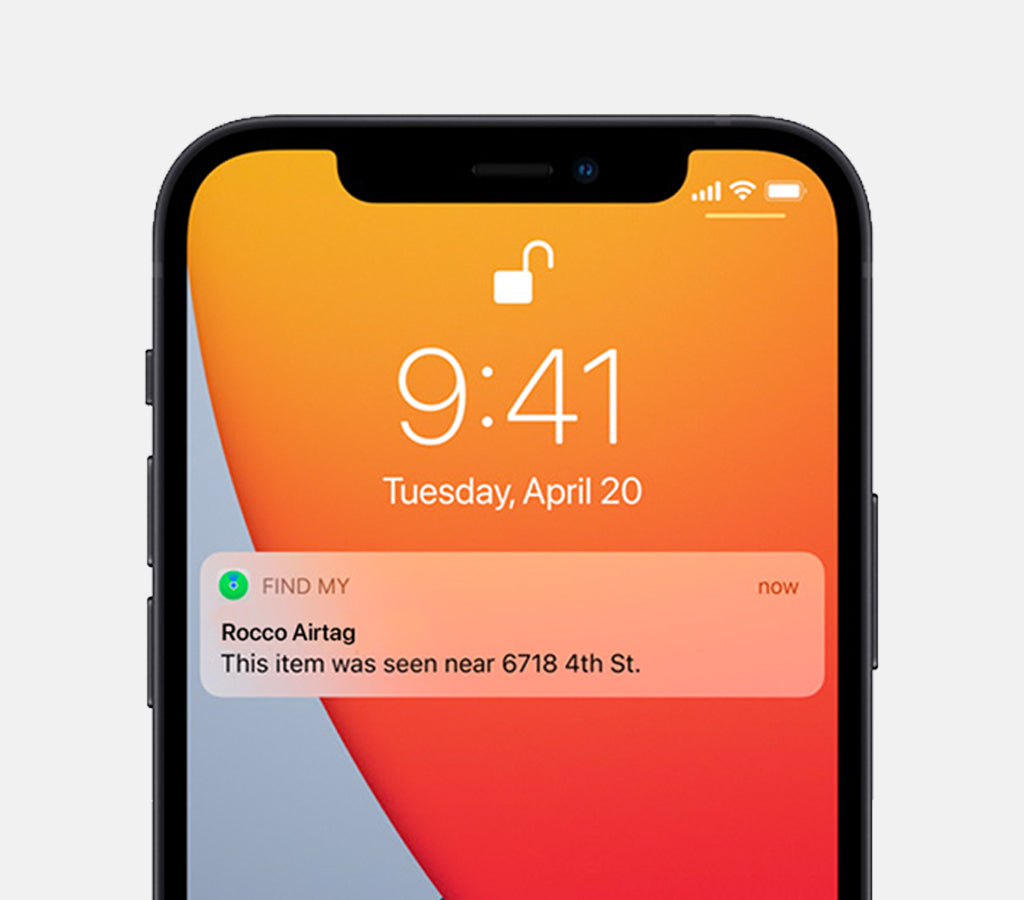 Notification on Iphone showing when dog runs away with airtag