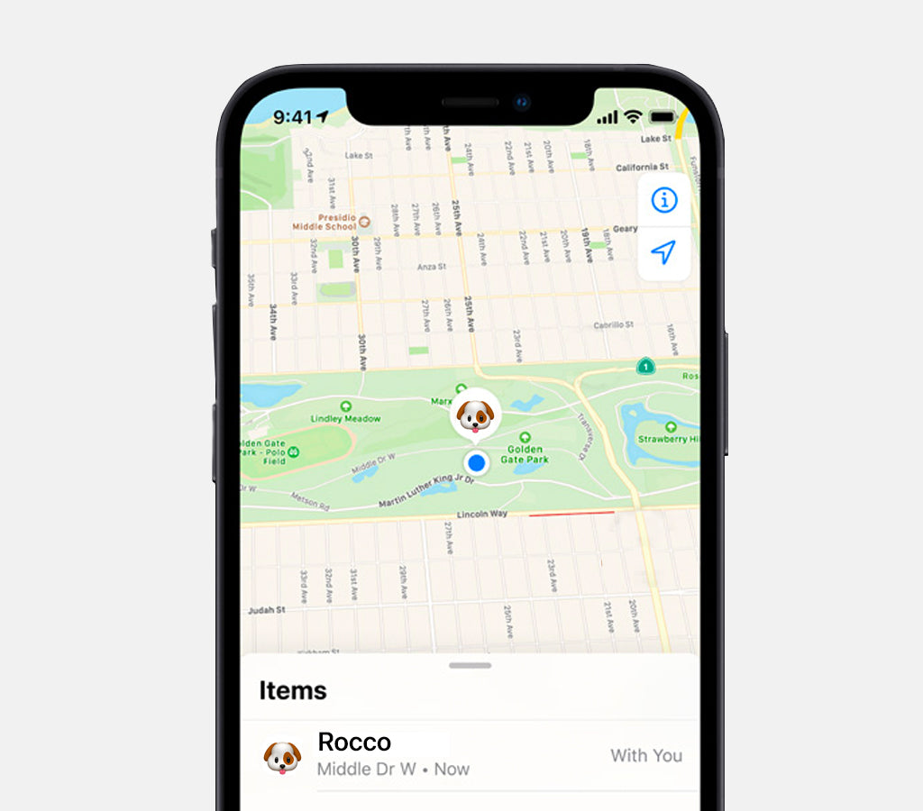 View of the find my app to track your dog with apple airtag