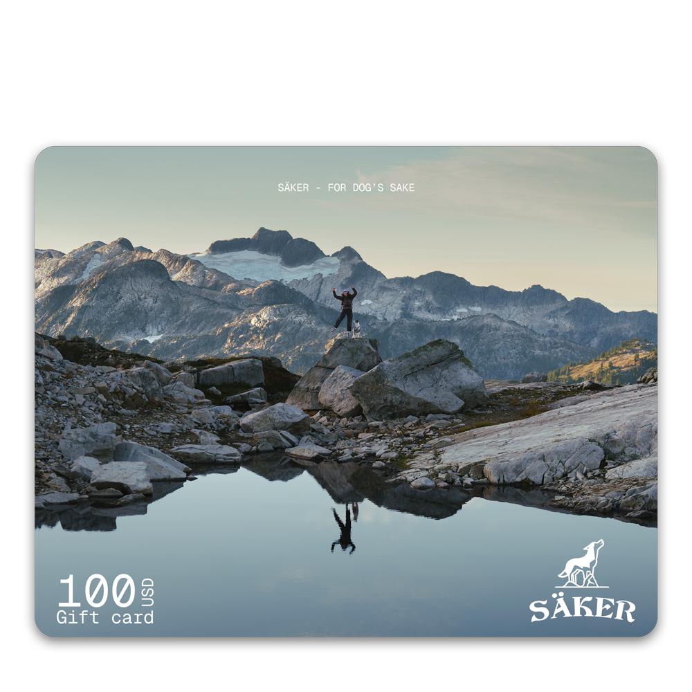 Säker Gift Card - 100