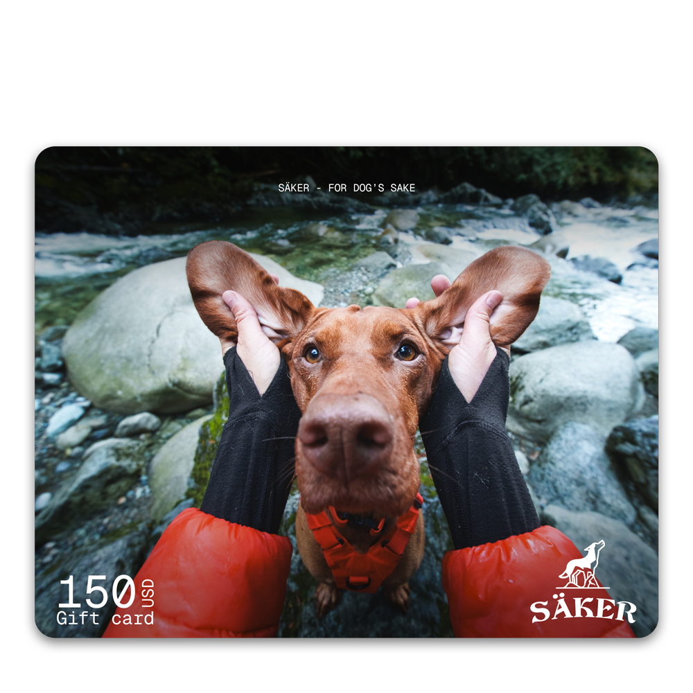 Säker Gift Card - 150