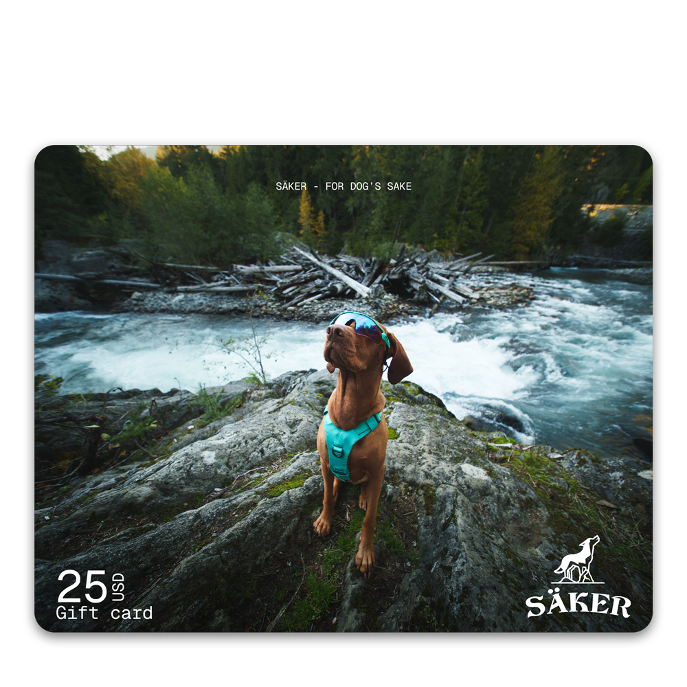 Säker Gift Card - 25