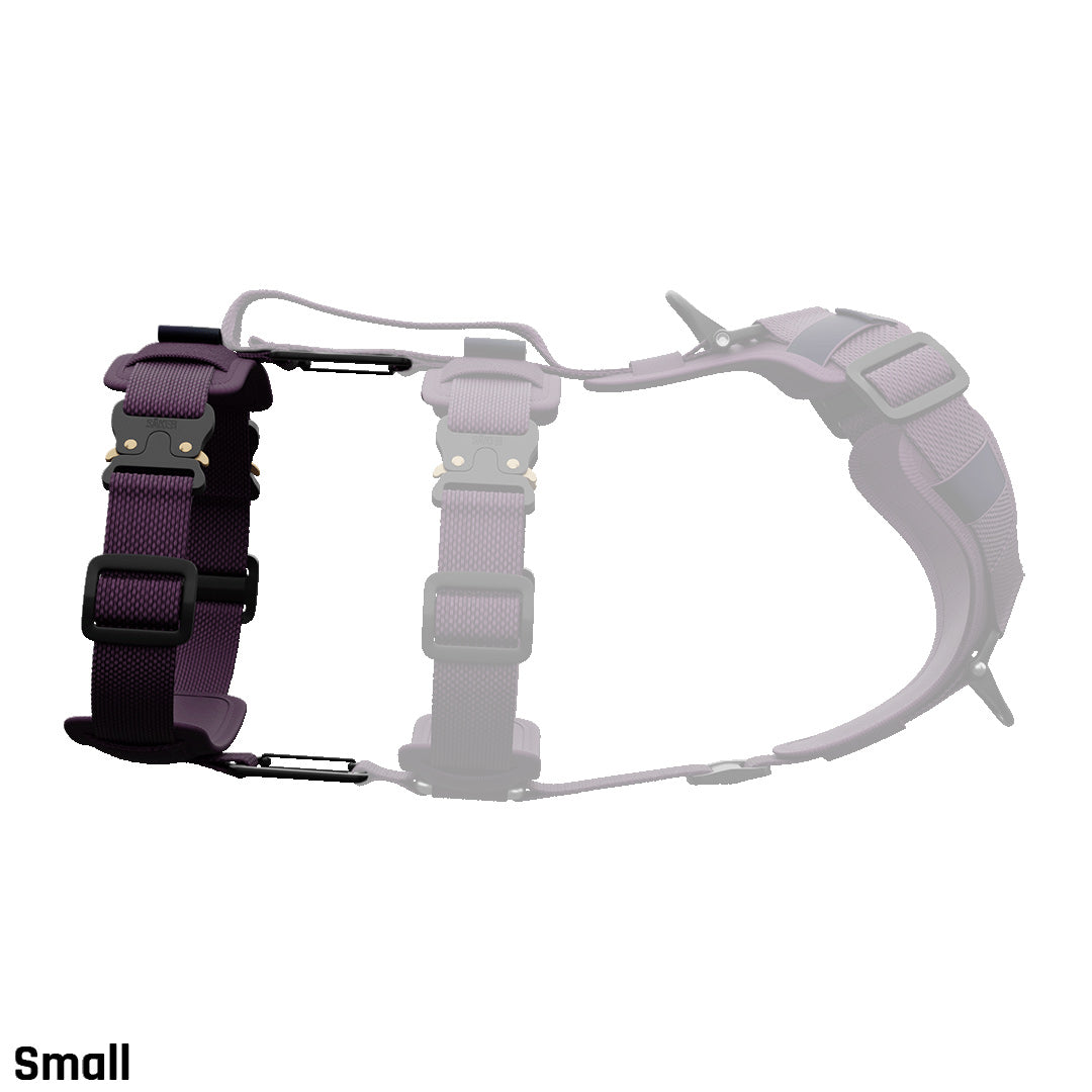 Extension for Ascension® Core Harness - Prairies Purple