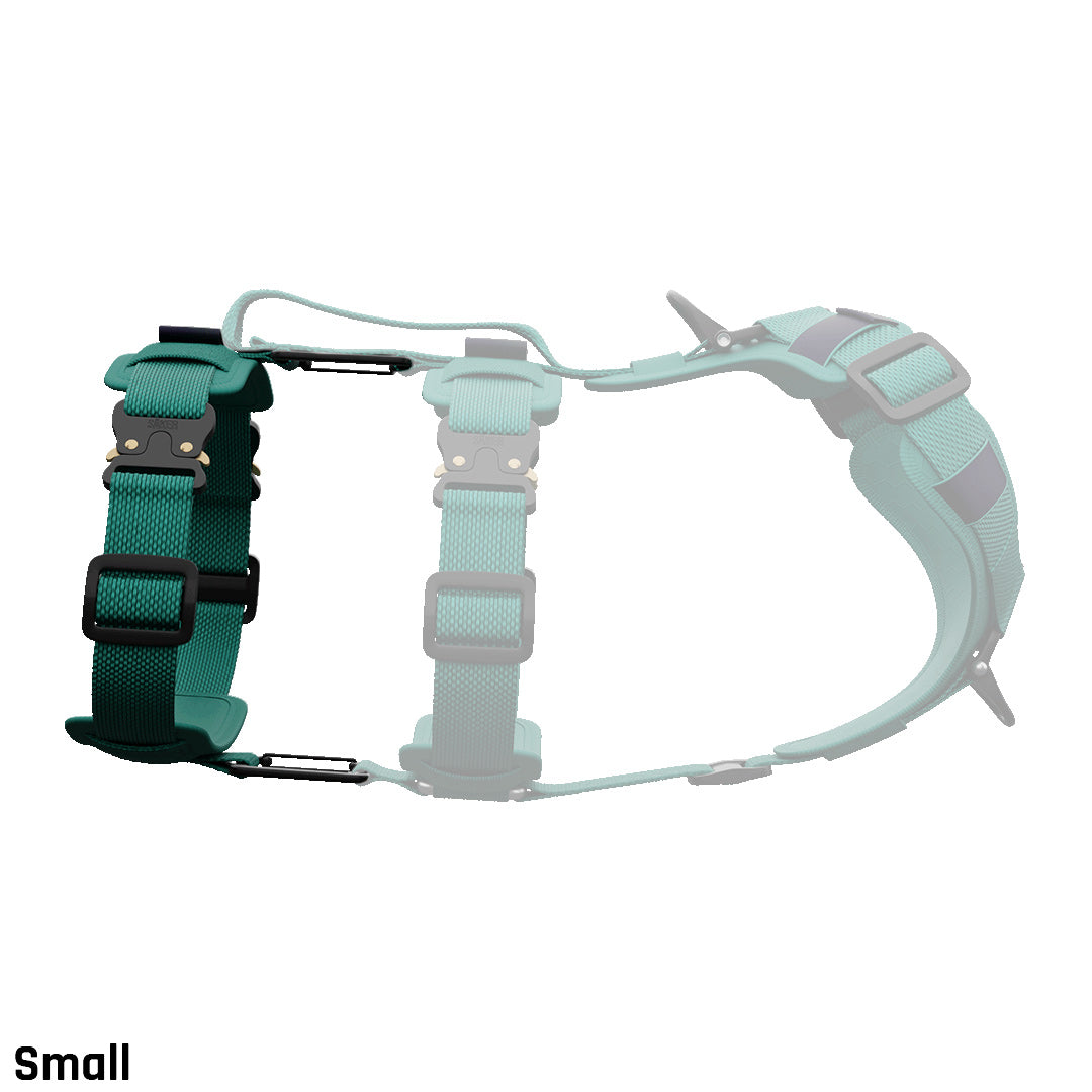 Extension for Ascension® Core Harness - Tazer Teal