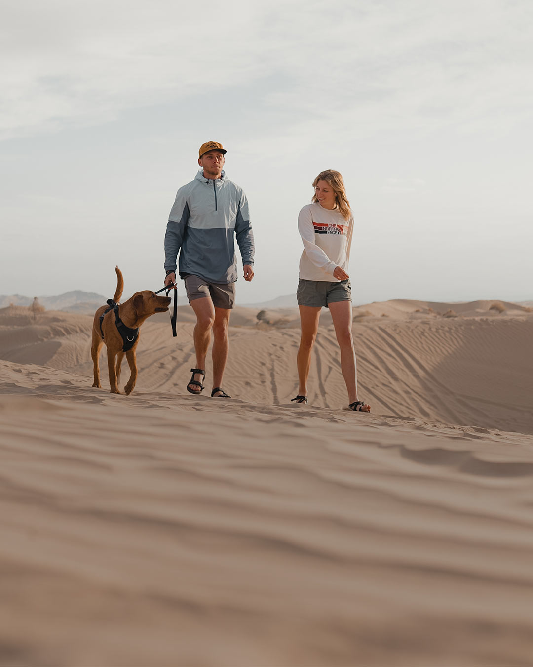 couple walking their labrador in the desert with the ascension harness and the sentiero dog leash