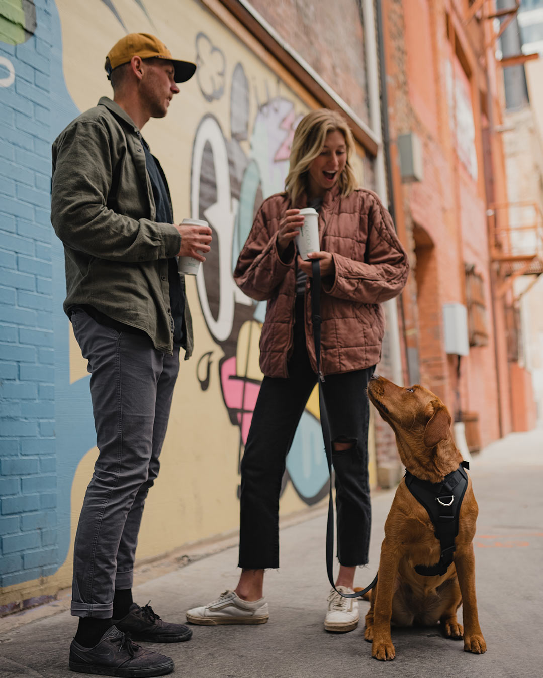 two friends discussing around a coffee with their labrador mix next to them with the Ascension core harness and the sentiero dog leash