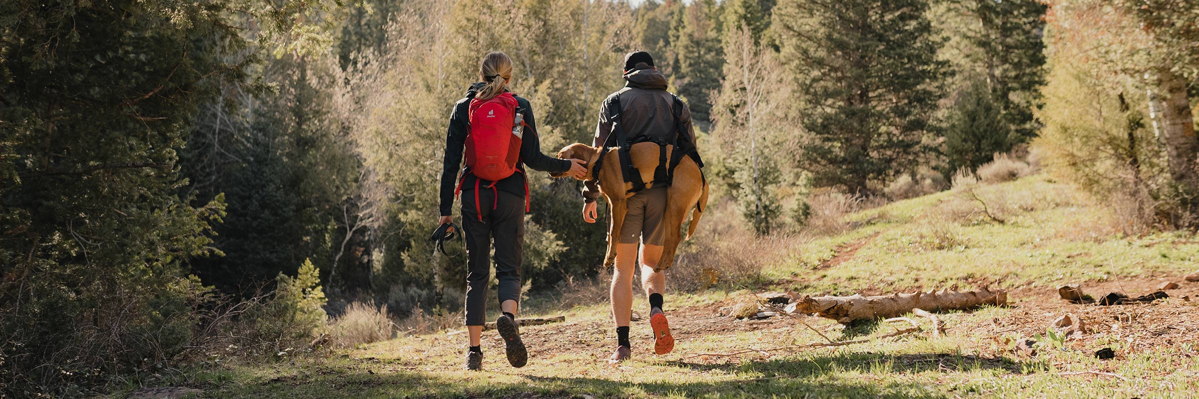two friends carrying a dog who was hurt in the trails with the K-911 Rescue Sling and extended harness