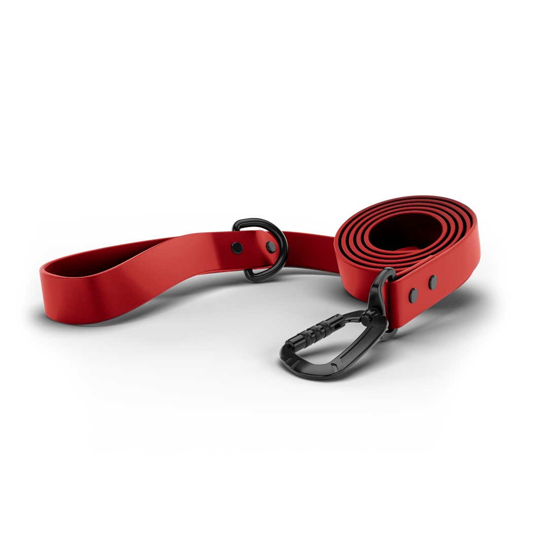 Main picture of the sentiero dog leash in blazing red