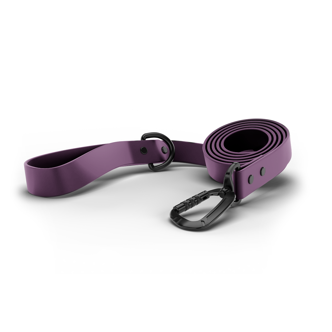 front view of the sentiero dog leash in prairies purple color
