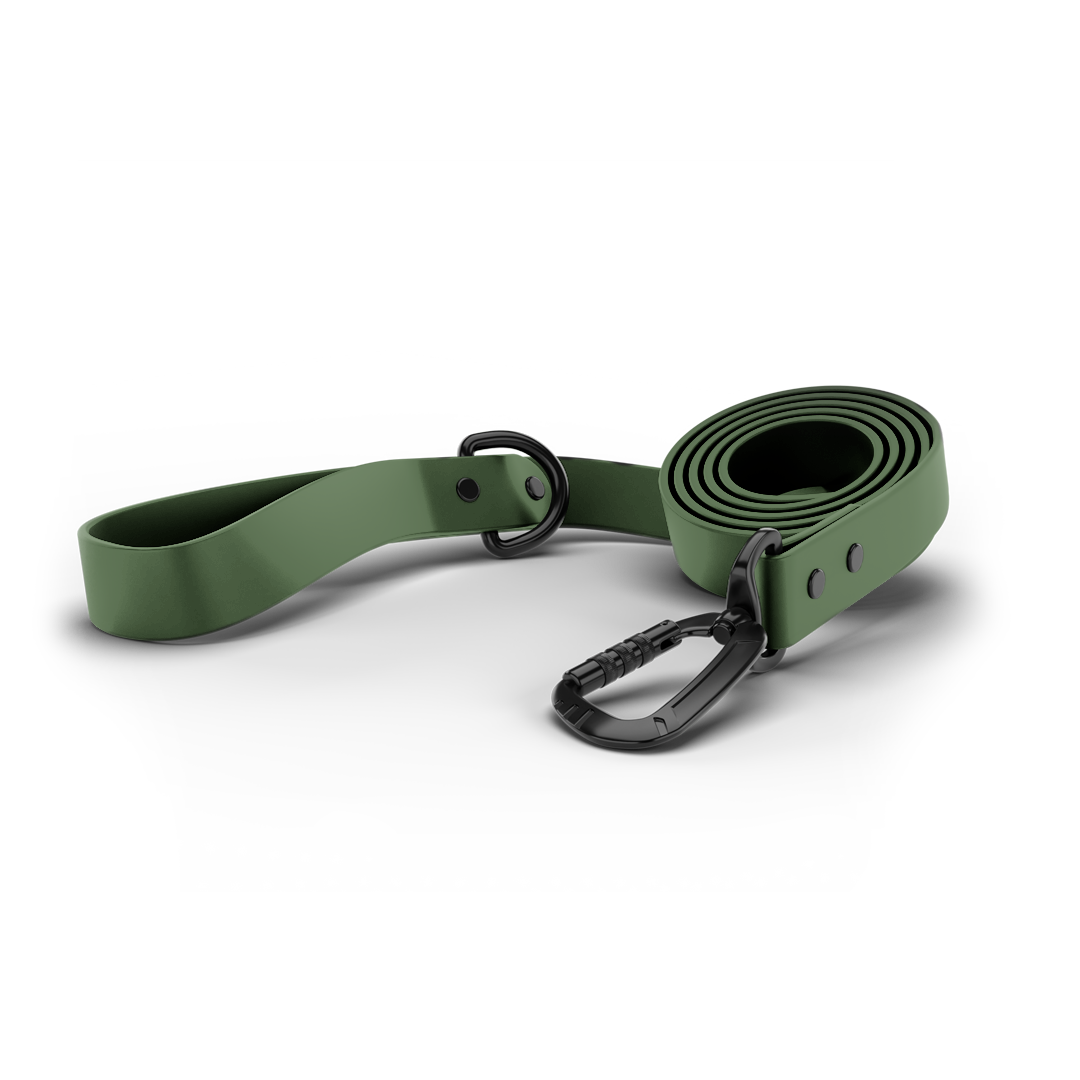 Main image of the sentiero dog leash 2.0 in woodland green color