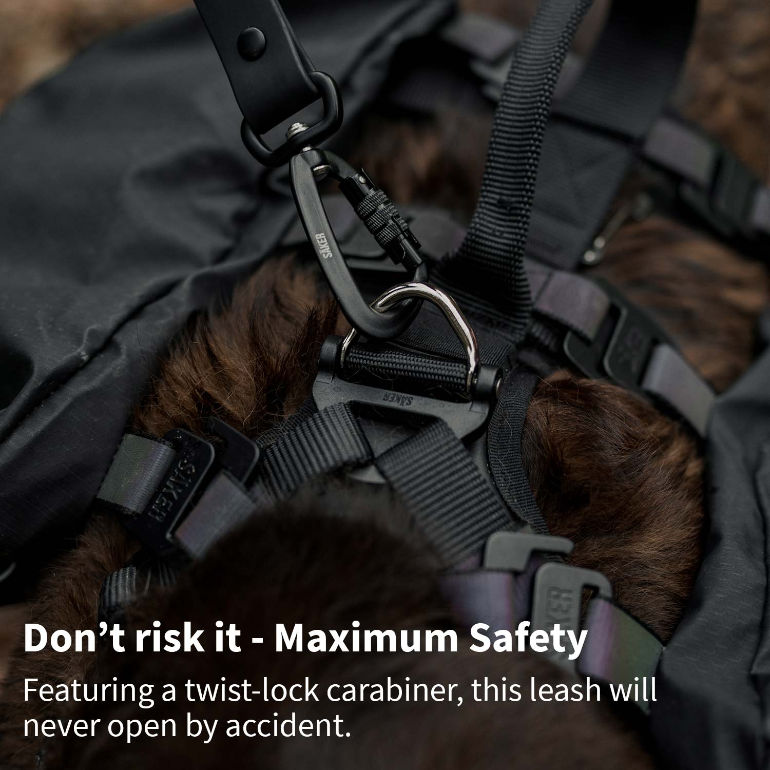 Close view of the leash carabiner