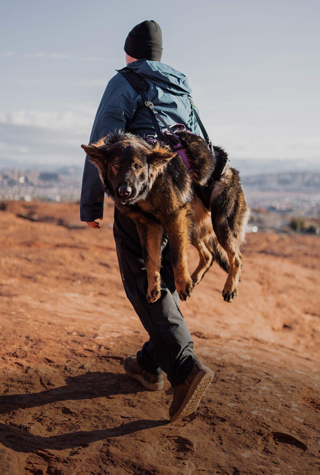 man carrying his injured dog out of canyon with the Saker K-911 Rescue Sling and Ascension extended
