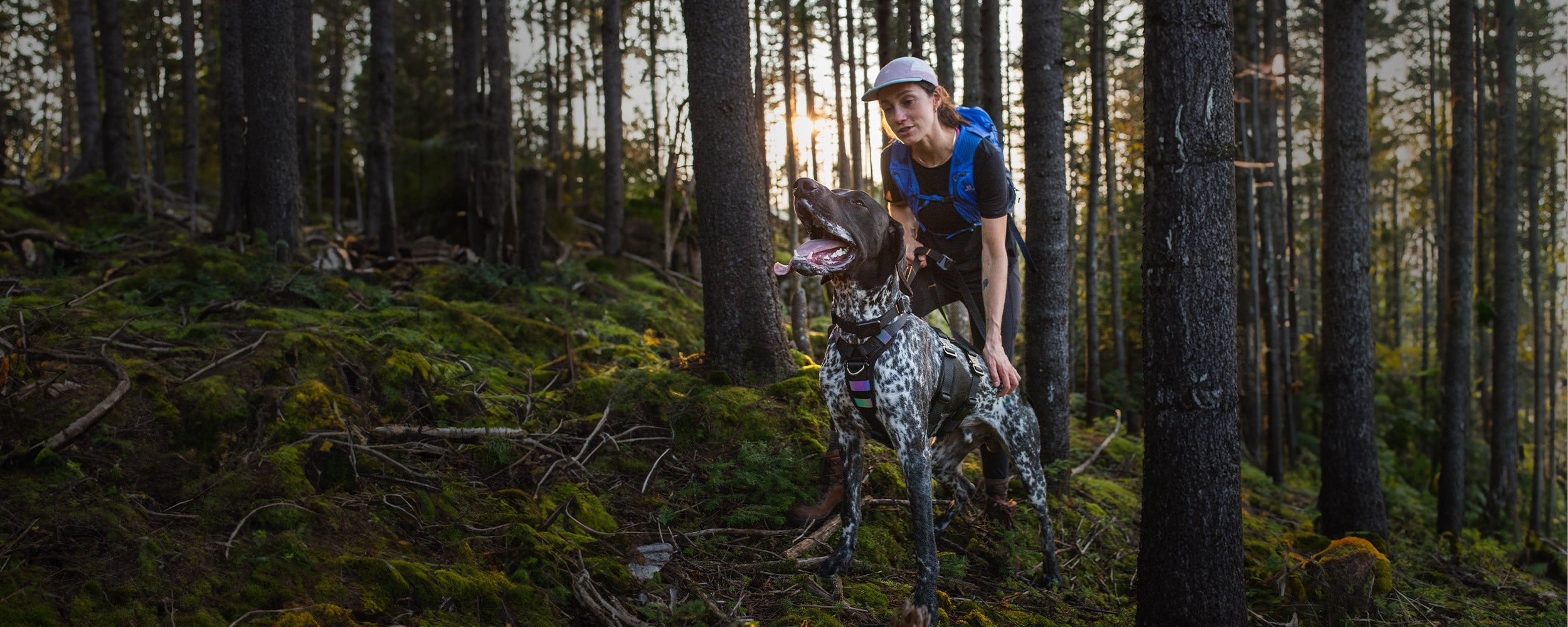 woman petting her dog while running in the forest - her dog wears the ascension harness in black