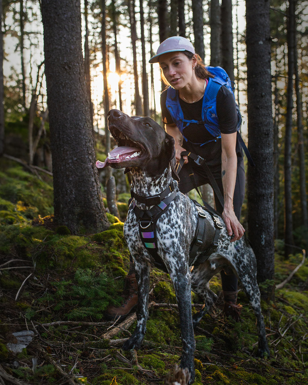 dog in forest held by his owner wearing the ascension extended harness in black