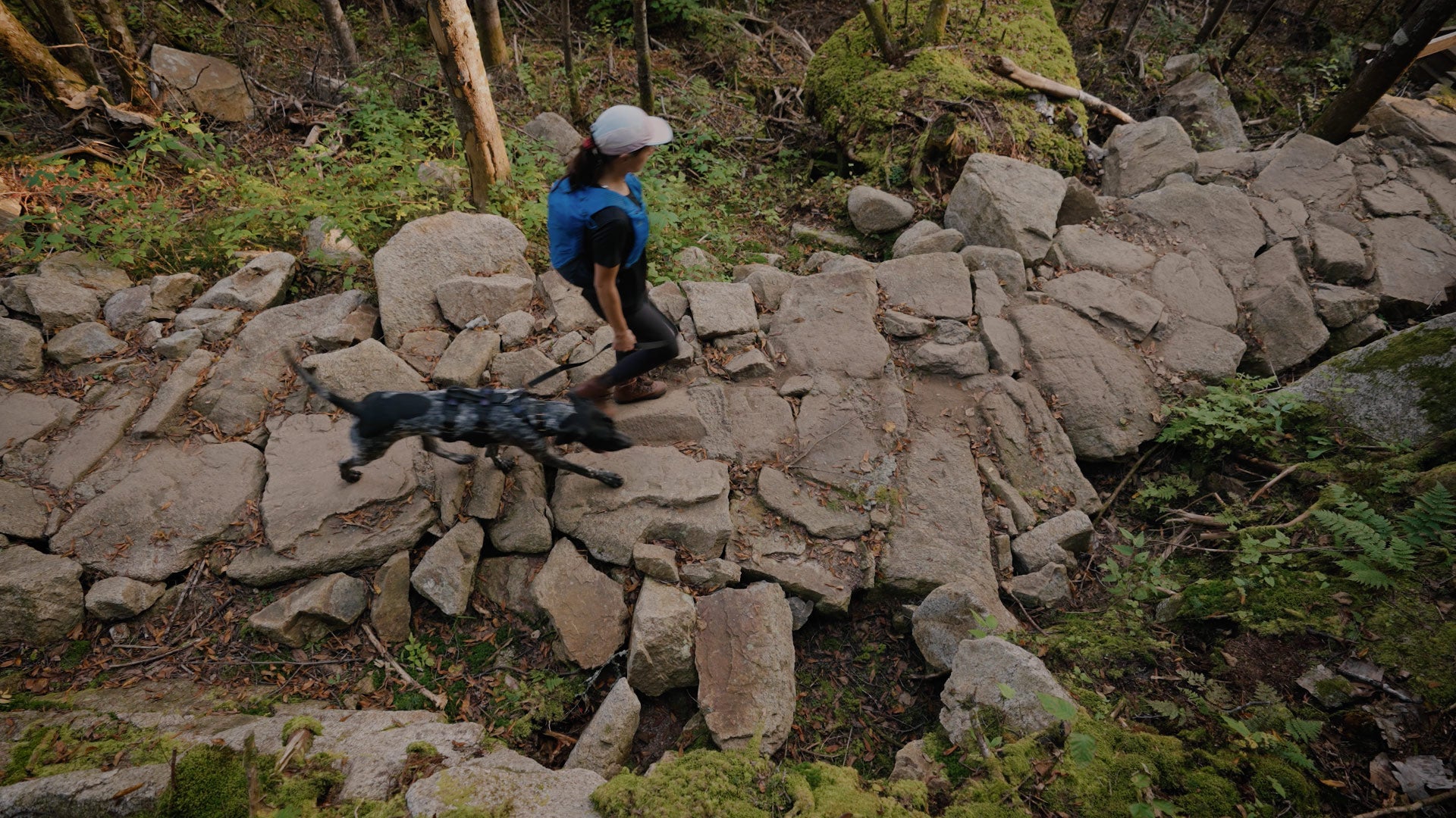 Woman and dog walking on a rocky path with the ascension harness