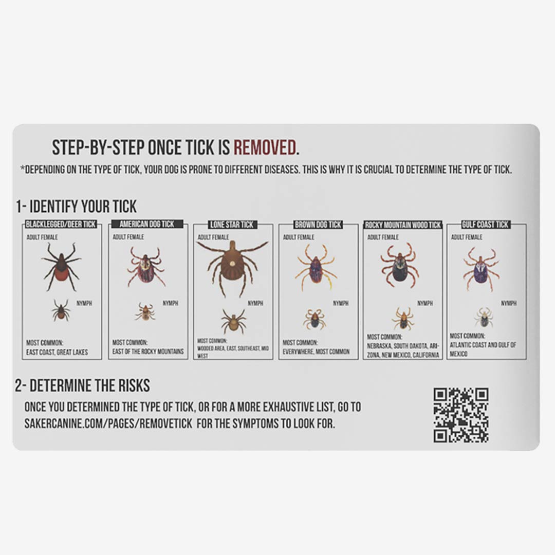 what to do step by step from the tick buster kit
